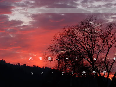 未撫養(yǎng)子女以后子女要贍養(yǎng)父母嗎？